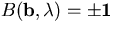 $B(\bf{b}, \lambda) = \pm 1$