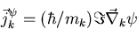 \begin{displaymath}
\vec{j}^{\psi}_k = (\hbar /m_k) \Im \vec{\nabla}_k \psi\end{displaymath}